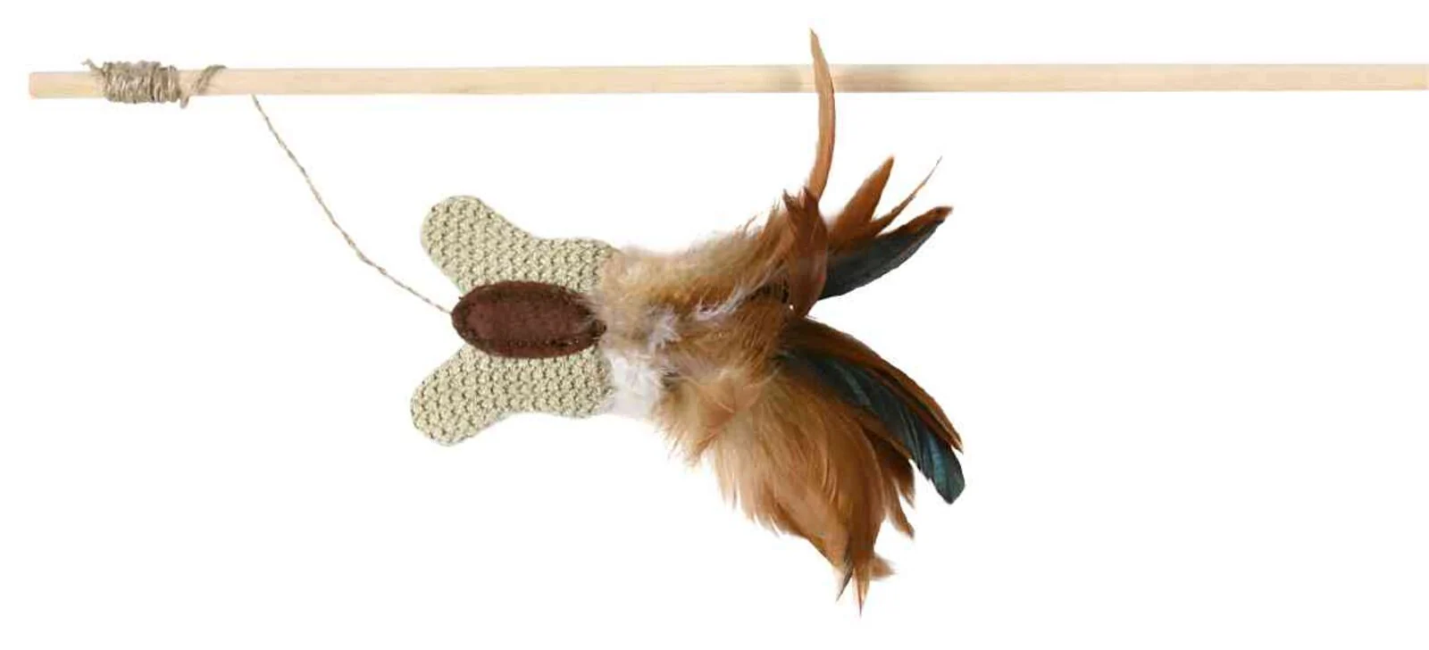 Vorschaubild 1